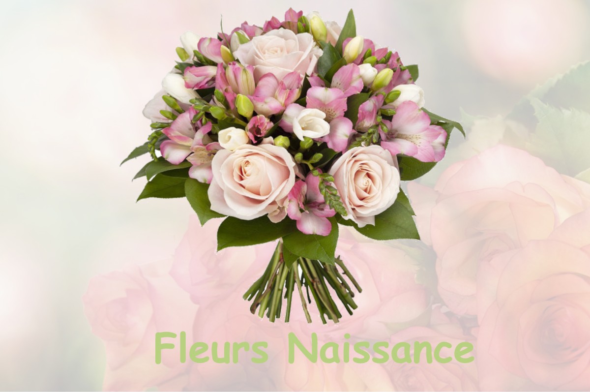 fleurs naissance SAINT-ESTEVE-JANSON