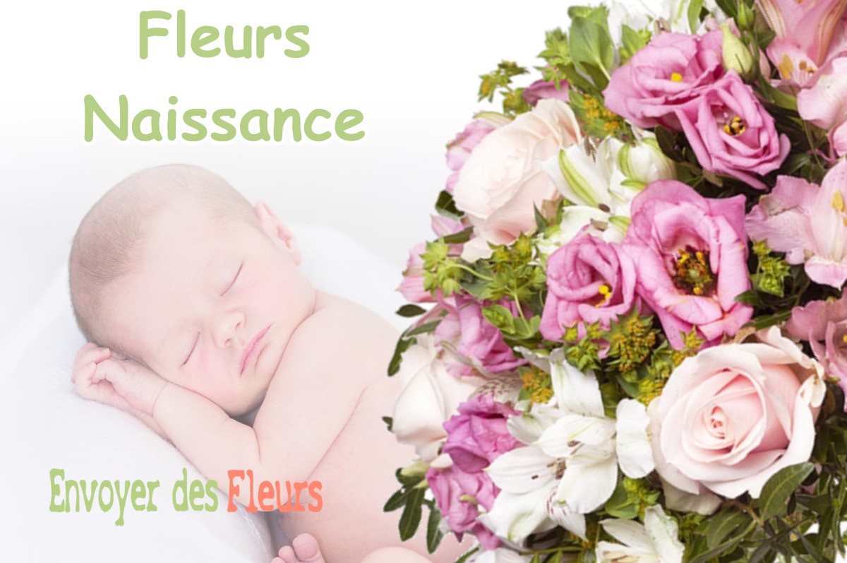 lIVRAISON FLEURS NAISSANCE à SAINT-ESTEVE-JANSON